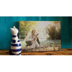 Fotolienzos