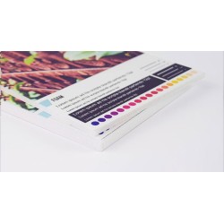 Carton pluma