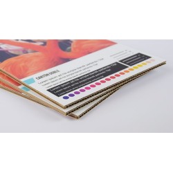 Carton microcanal doble