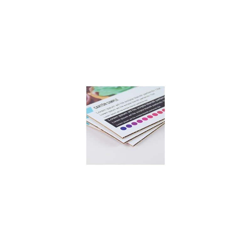 Carton microcanal simple Carton microcanal simple