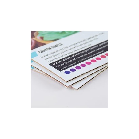 Carton microcanal simple
