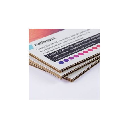 Carton microcanal doble