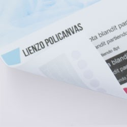Lienzo 