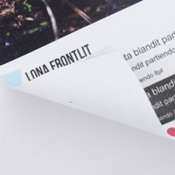 Lona impresa de PVC de 500gr